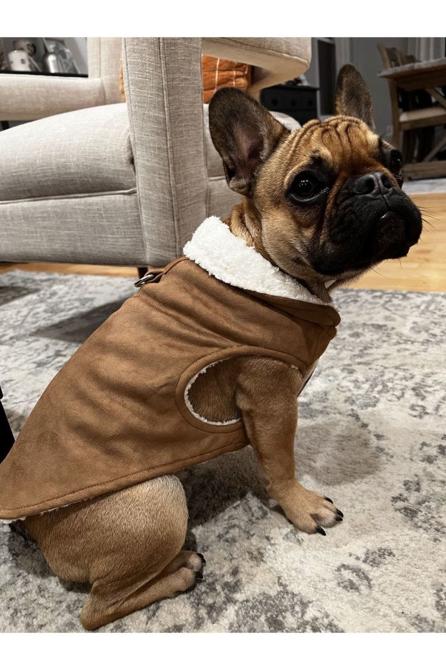 Giacca per cani e gatti bomber in pelle dal design speciale Couture