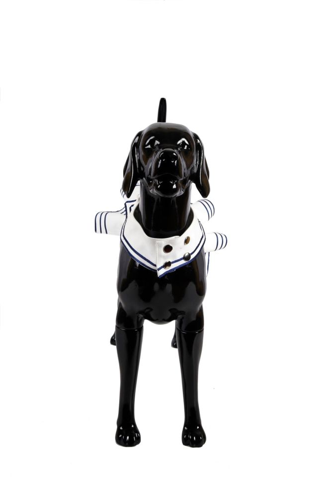 Özel Tasarım Denizci Etek - Bluz Takım Kedi & Köpek Kıyafeti