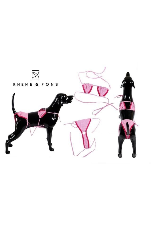 Pembe Kedi Köpek Bikini Takım Kedi Köpek Kıyafeti