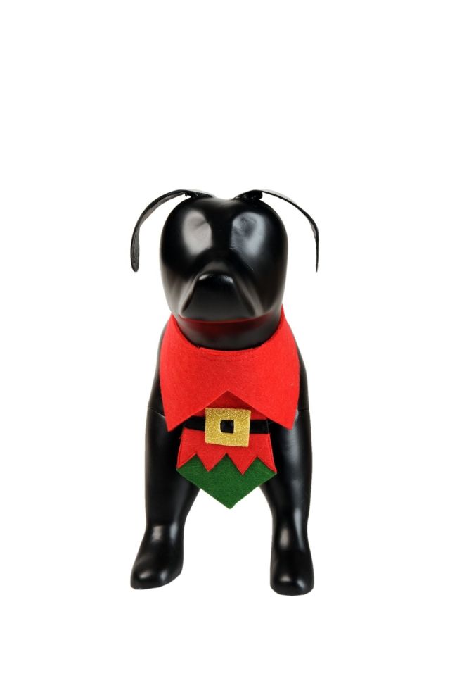 Yılbaşı Kedi Köpek Boyunluğu