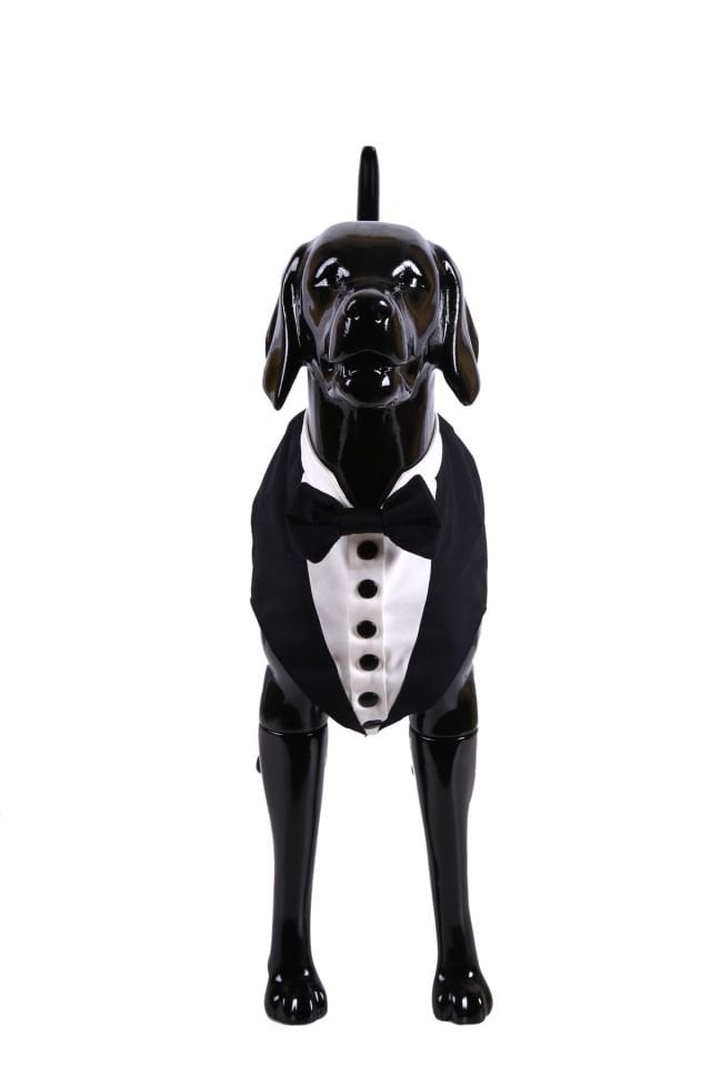 Smoking per cani e gatti con una gamba dal design speciale nero - S