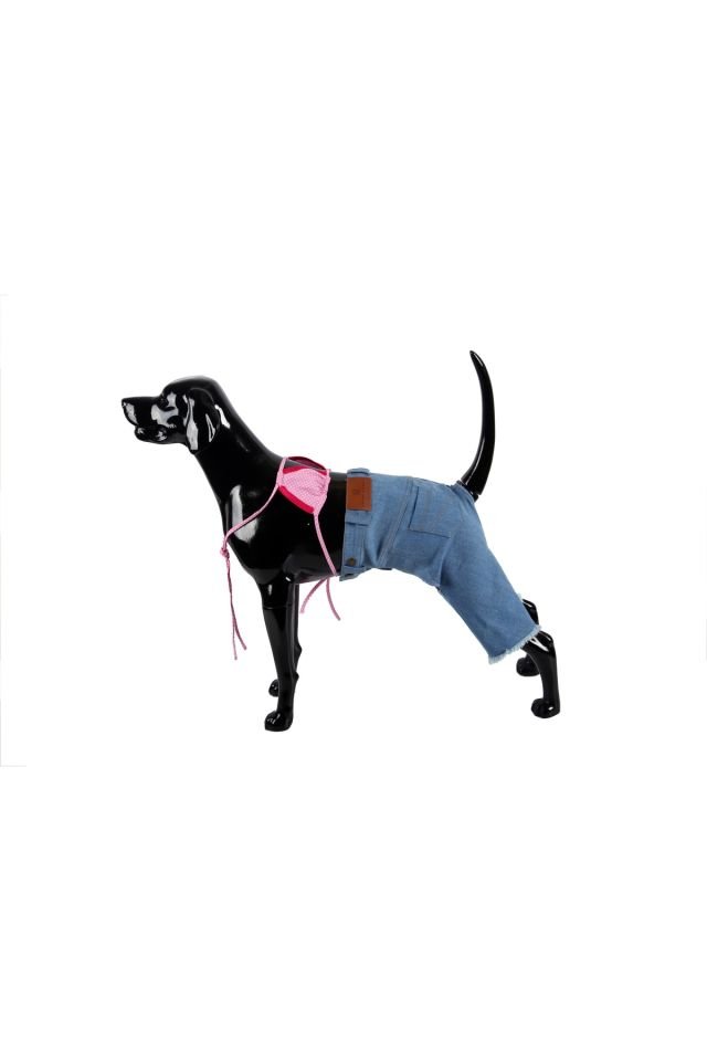 Özel Tasarım Denim Kot Pantolon Kedi & Köpek Kıyafeti Renkli - 6XL