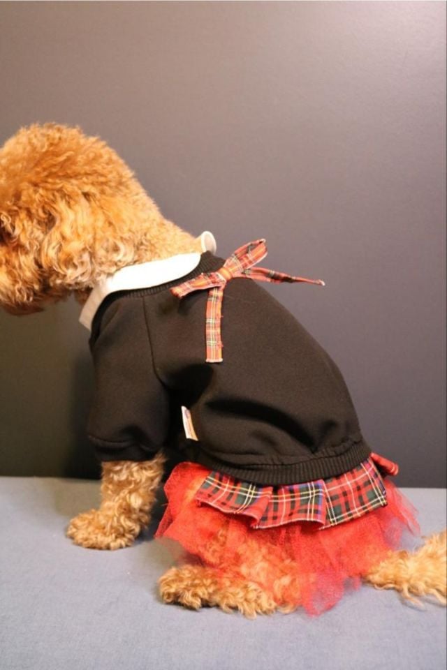 Special Design Couture College Dog Clothing Dog Dress Dog Skirt Black Red - 3XL